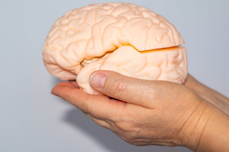 Memory and neuro health